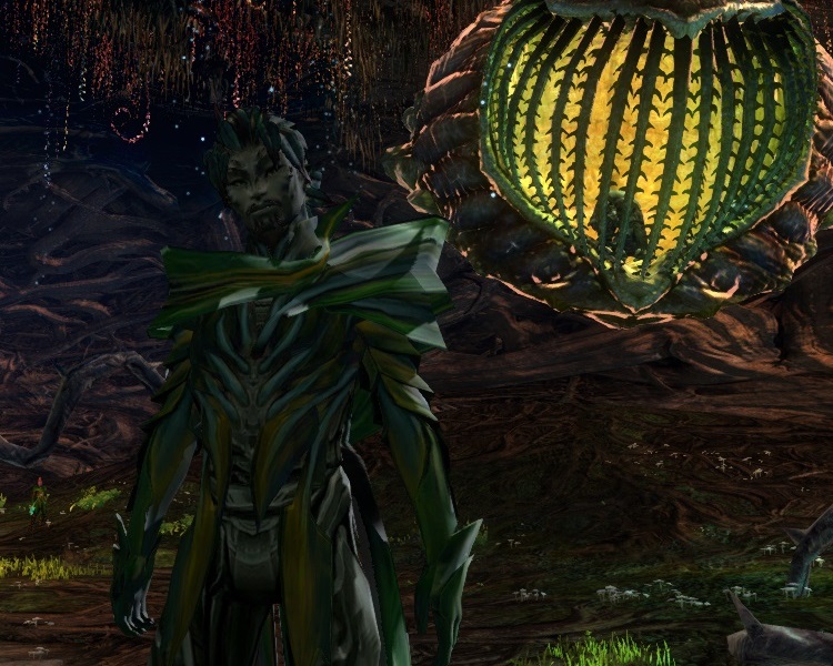 User Yata Calainn Image.jpg