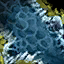 Dragon Hatchling Doll Hide.png