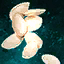Zucchini Seeds.png