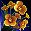 Honey Flower Home Instance Node.png