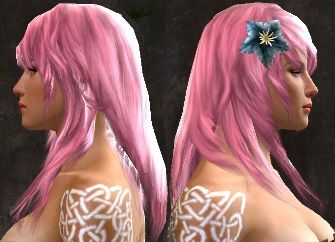 File:Unique norn female hair side 5.jpg