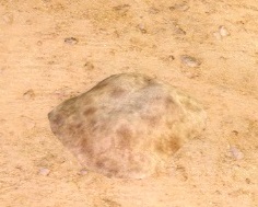 Buried Artifact.jpg