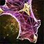 Amethyst Aegis.png