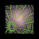 Entangling Web