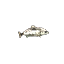 Fish 1.png