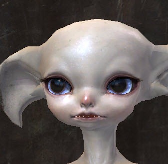 File:Gw2-new-faces-festival-of-four-winds-asura-male-1.jpg