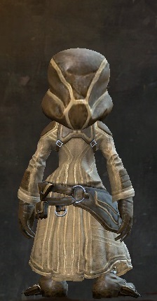 File:Traveler's Outfit asura female back.jpg