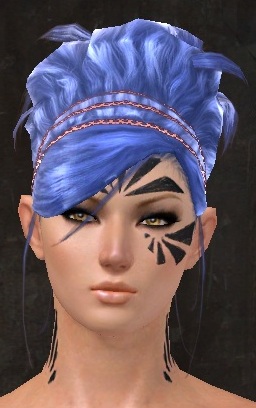 File:Unique norn female hair front 18.jpg