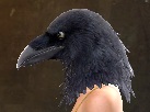 Raven-Blessed Visage side.jpg