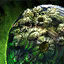 Orrian Shield.png