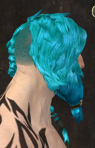 File:Unique norn male hair side 14.jpg