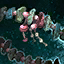Morgooroo Friendship Bracelet.png