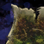 Enchanted Map Scrap (4-4).png