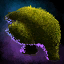 Body Topiary.png
