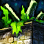 Bowl of Ascalonian Salad.png