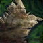 Tattered Scroll.png