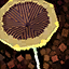 Super Mushroom.png