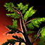 Lowland Pine Sapling Home Instance Node.png