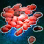 Raspberry Seeds.png