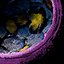 Skyscale Egg 11.png