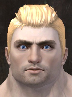 File:Unique norn male hair front 2.jpg