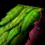 Verdant Roof.png
