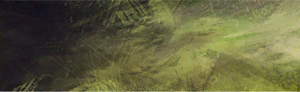 User Jyavoc Traits r line2 section1.png