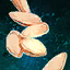 Butternut Squash Seeds.png