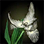 Krytan Spiderwort Bloom.png