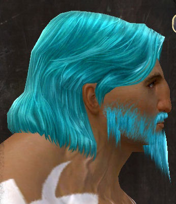 File:Unique norn male hair side 10.jpg
