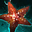Starfish Souvenir.png