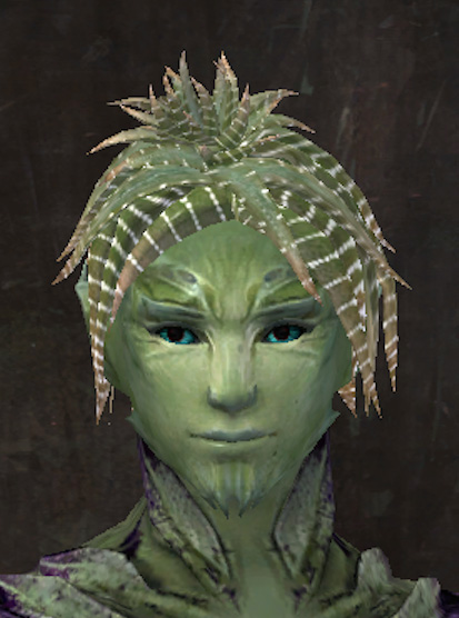 File:Exclusive hair - sylvari male 14.jpg