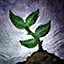 Melandru's Orchard.png