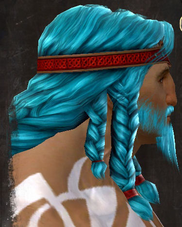 File:Unique norn male hair side 17.jpg