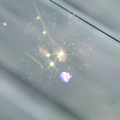 Snowball.jpg