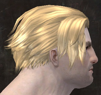 File:Unique norn male hair side 9.jpg
