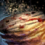 Nutmeg Seed.png