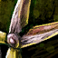 Intricate Tailor's Tools.png