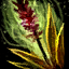 Seaweed Bomb.png
