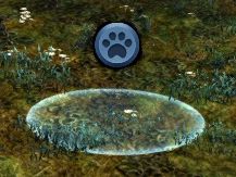 User Tilu LocationMarker.jpg