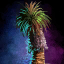 Potted Petticoat Palm.png
