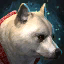 Mini Cream Shiba Inu.png