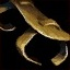 Jute Wristguard Strap.png