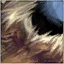 Torn Rag.png
