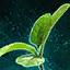 Germinate Spinach.png