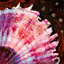 Sclerite Weapon Claim Ticket.png