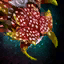 Spotted Orchid.png