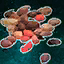 Blackberry Seeds.png