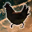 Chickenado's Fickleness.png