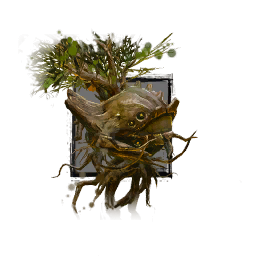 Juvenile Jacaranda.png